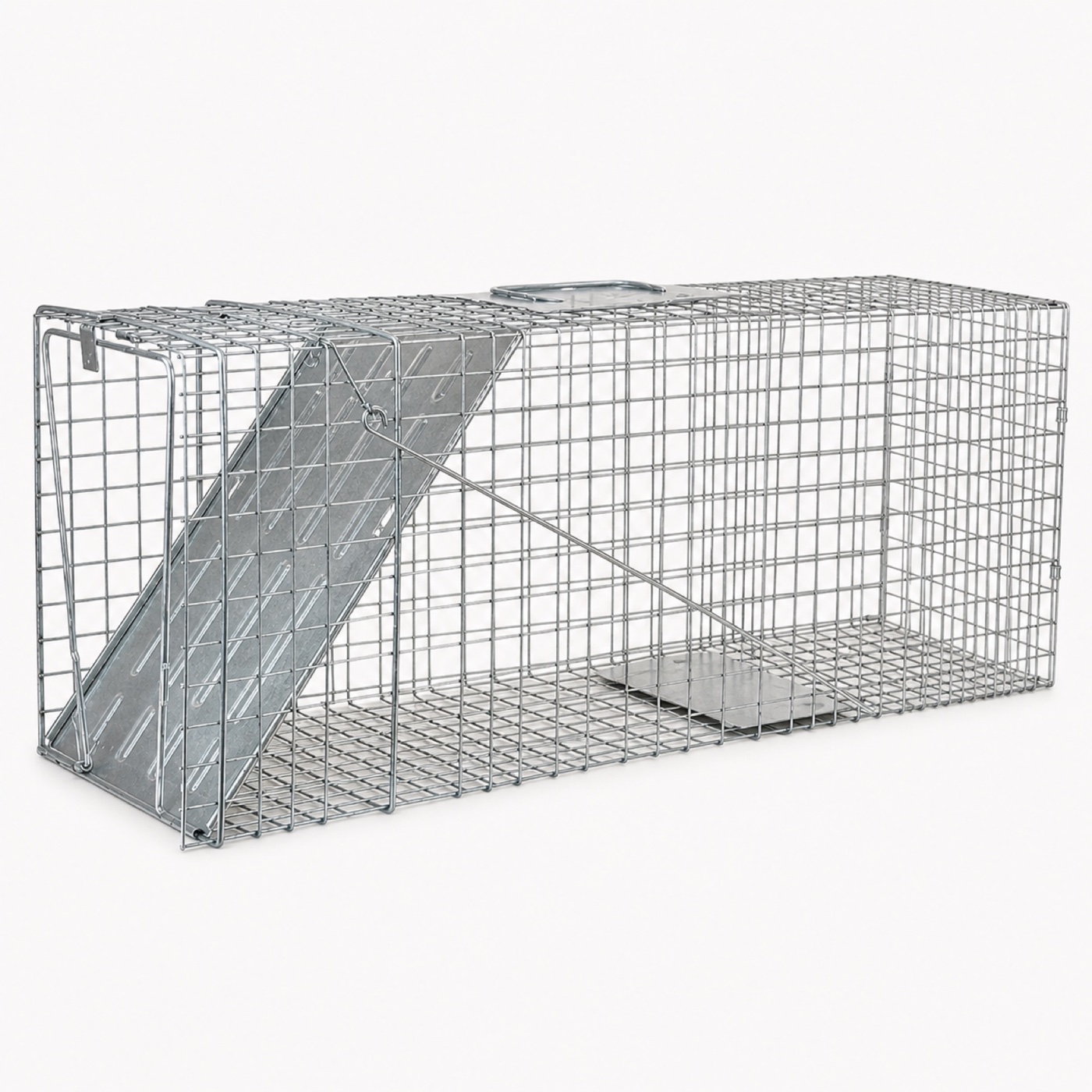 Animal Trap